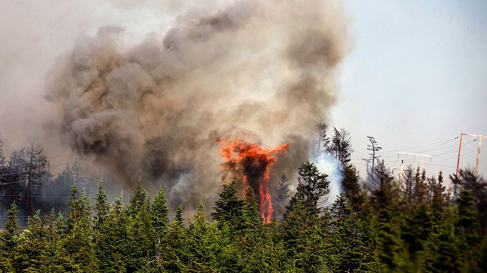 La Ronge, Saskatchewan, är ett av områdena i Kanada som drabbats av bränderna. Fler än 13.000 personer har tvingats evakueras.