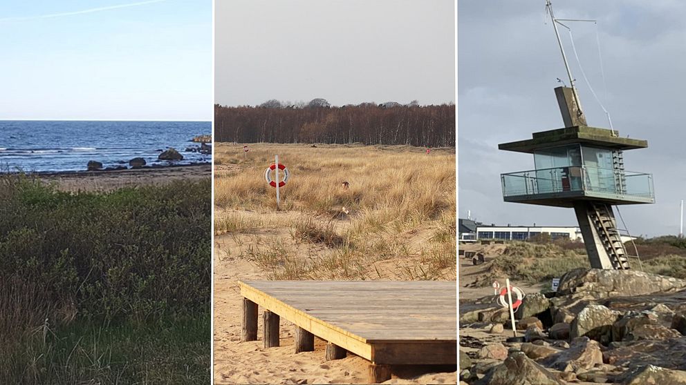 Halmstadsstränderna Ringenäs, Västra stranden och Tylösand.