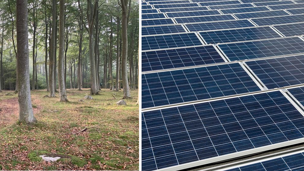 Fotomontage mellan en bild på skog och solceller
