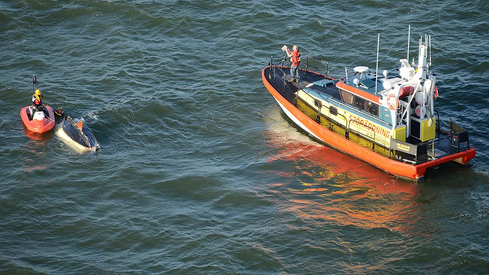 sjöräddning. Båt som har kapsejsat och räddningsbåt.