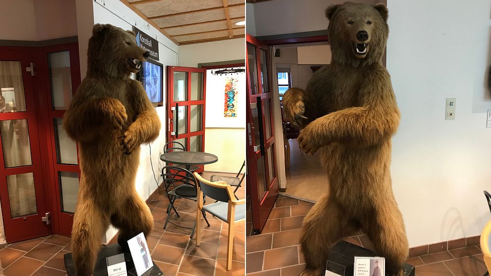 två bilder på en uppstoppad björn som står på bakbenen i foajén till Rättviks kulturhus