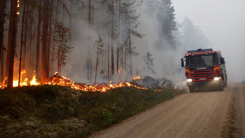Räddningstjänsten gör sig extra förberedd på skogsbränder under sommaren.