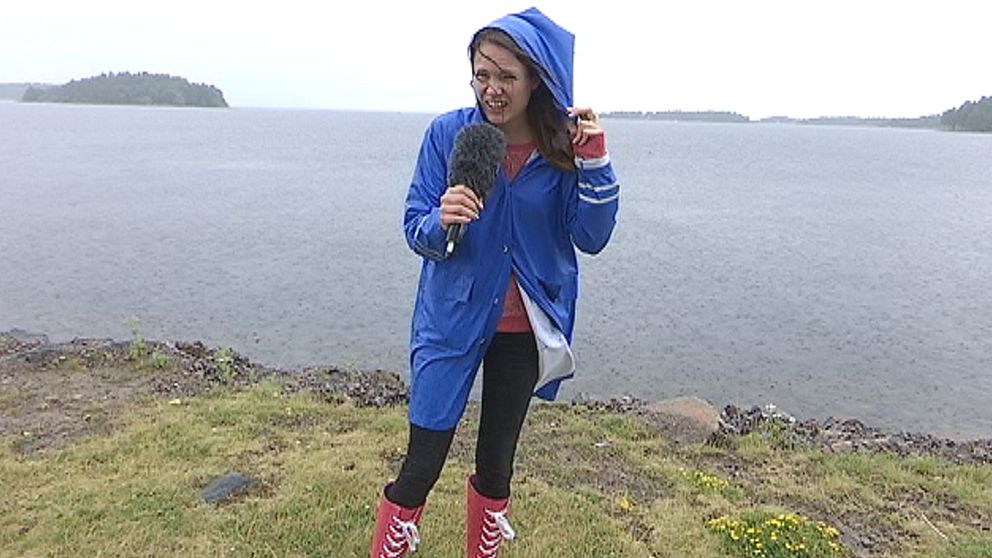 SVT:s reporter Anna Tjäder i regn och blåst vid Vänerns strand i Hammarö utanför Karlstad den 29 juli.