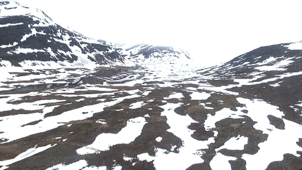 I början av juli var det fortsatt mycket snö på Kungsleden mellan Abisko och Nikkaluokta. Så här såg det ut i Tjäktjapasset den 3 juli.