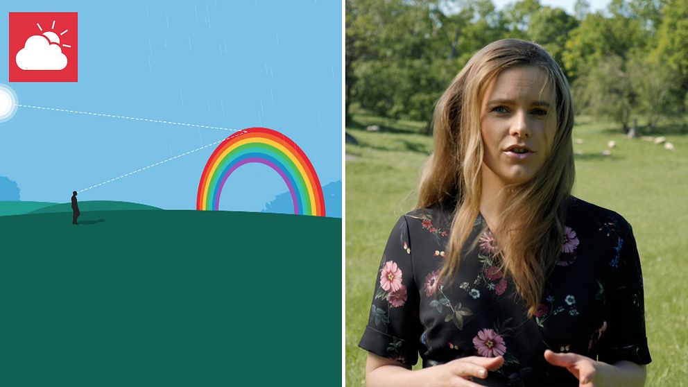 I videon förklarar SVT:s meteorolog Tora Tomasdottir hur regnbågen uppstår – och hur man gör för att se en cirkulär regnbåge.