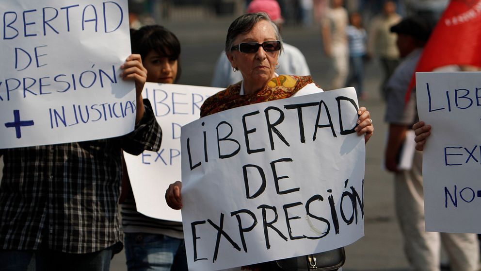 En demonstrant håller en skylt med texten ”yttrandefrihet”.