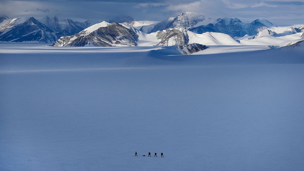 Fyra forskare tar sig med skidor fram över Antarktis.