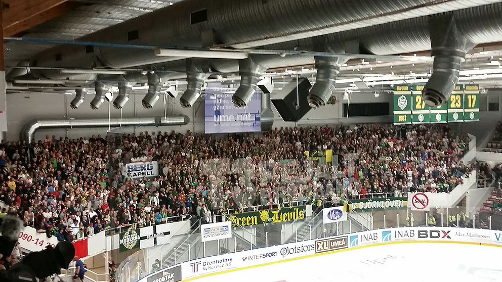 Supportrar, Björklöven, Green Devils