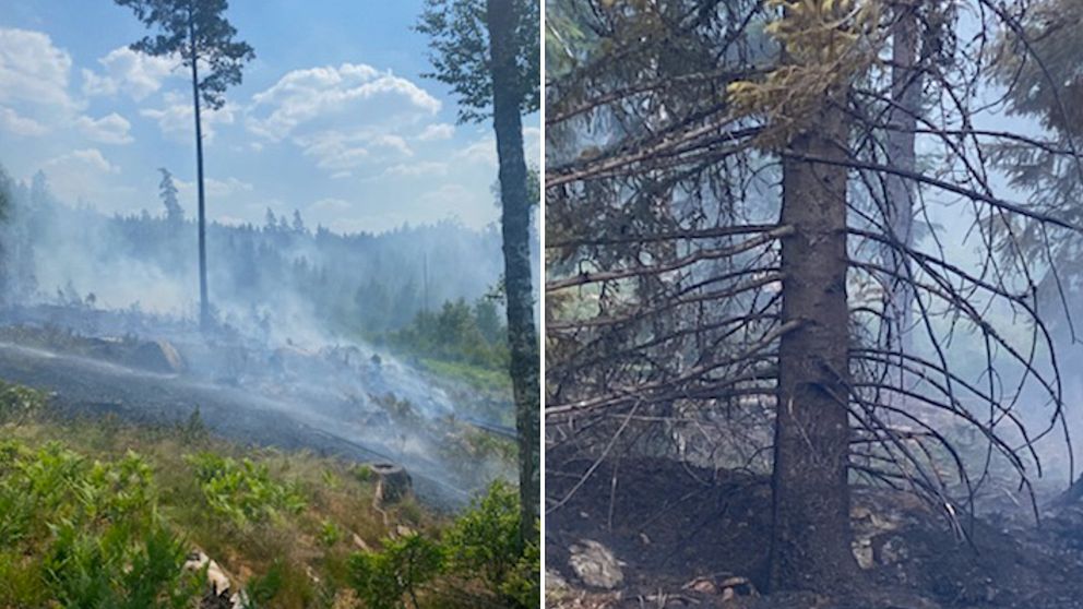 Bilden är ett collage av två olika bilder som visar en skogsbrand i Lönneberga i Hultsfreds kommun.
