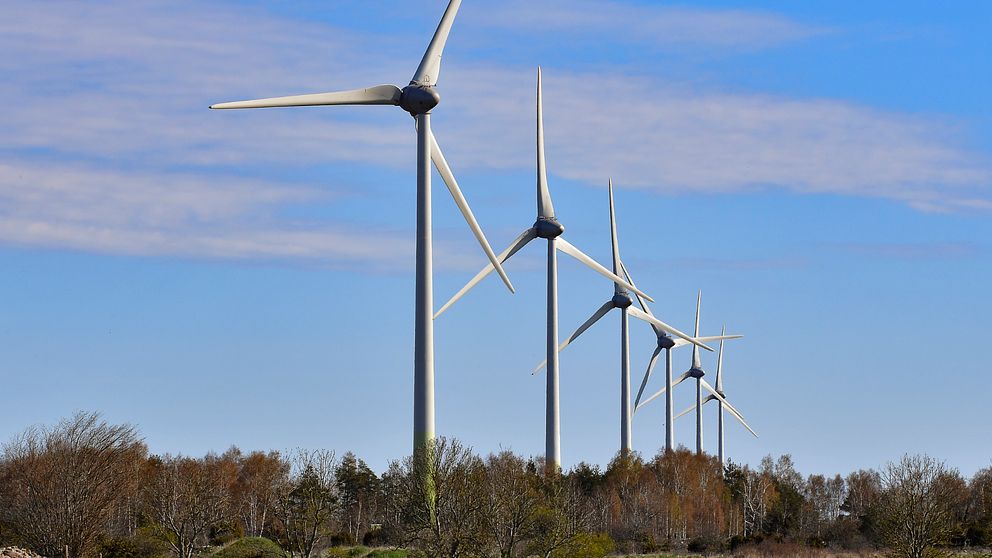 Bild på vindkraftverk