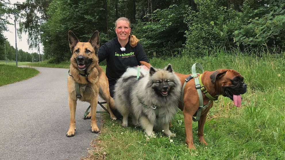 Malin Palm Friberg tillsammans med några av hundarna på det hunddagis hon driver i Lidköping