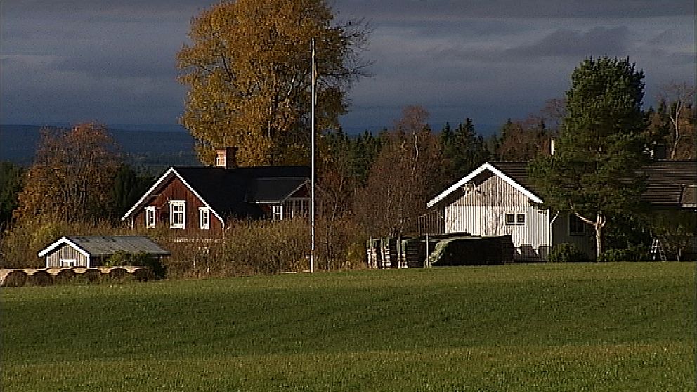 Längst till vänster en liten stuga, till höger om det en brun villa och till höger om den en vit villa. Flera träd i bild, molnig himmel och gräsmatta.