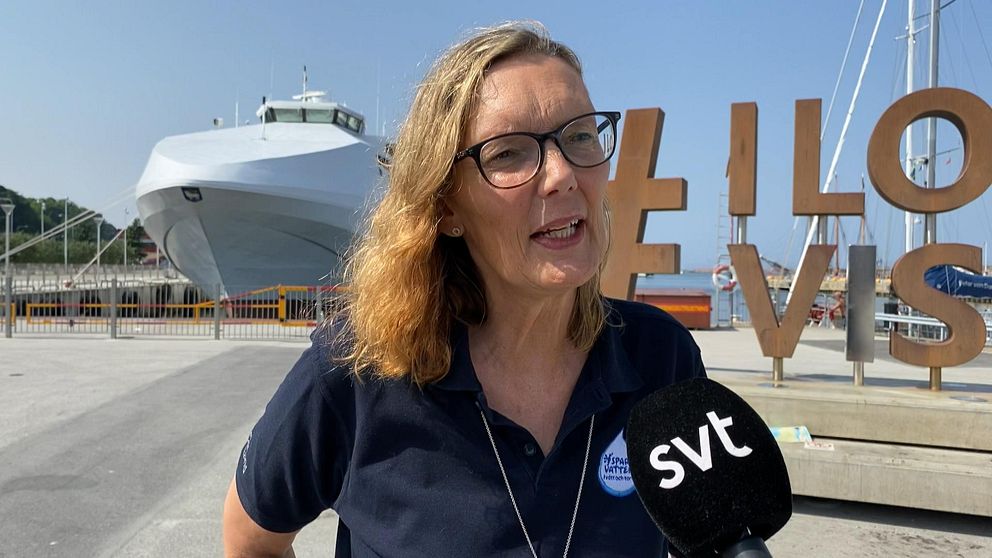 Susanne Bjerkegaard-Pettersson VA-chef Region Gotland