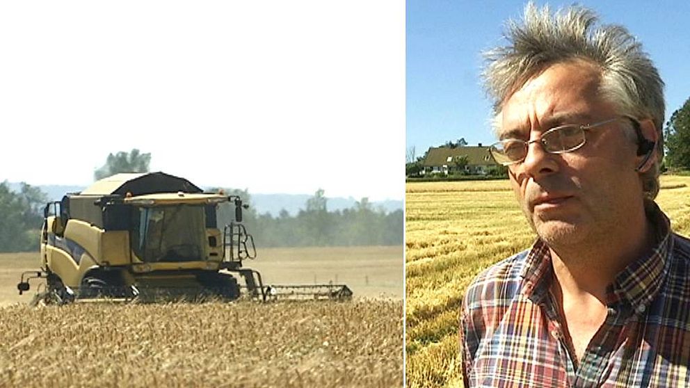 Skördetröska och lantbrukaren Per Fladje.