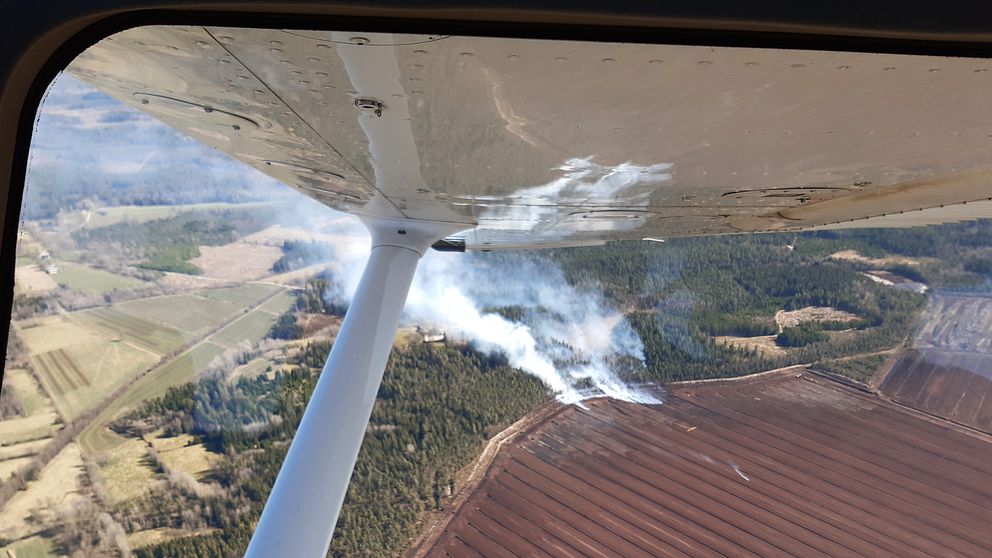 Flygfoto över skogsbrand.