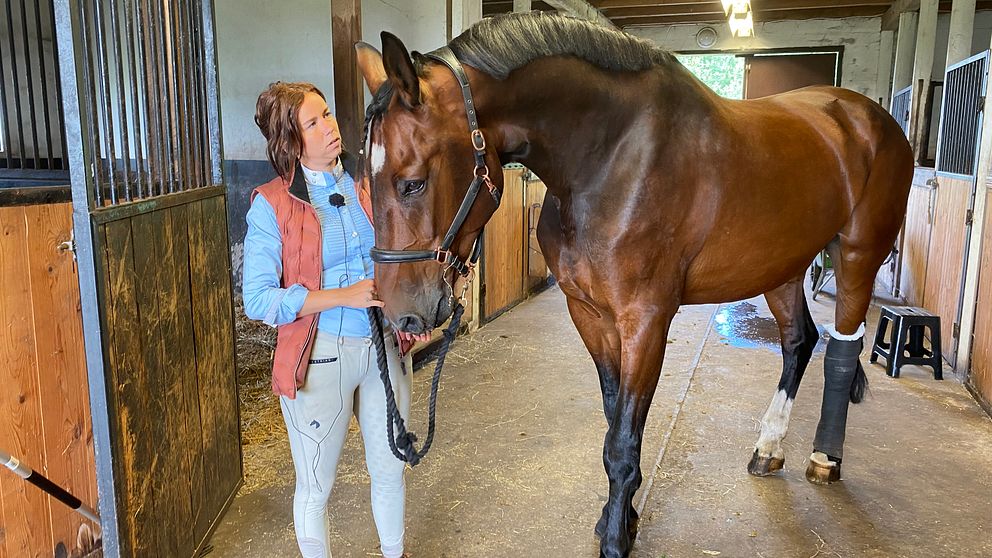 Michelle Olsson håller i sin stora bruna häst, han har ett bandage runt ena bakbenet.