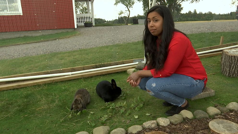 Karin Påsse sitter ner på huk vid två kaniner utomhus.