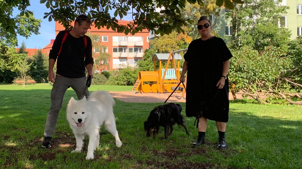 Hundägare vid Torekovsplan är oroliga och uppmärksamma efter fynd av vassa föremål.