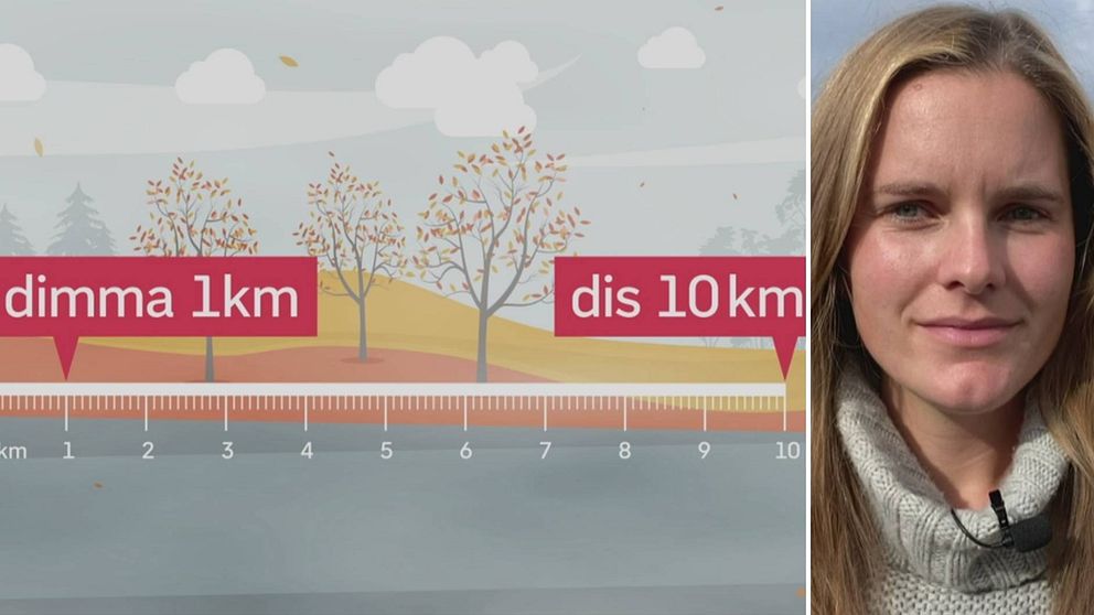 Se meteorologen Tora Tomasdottir berätta skillnaden på dis och dimma.