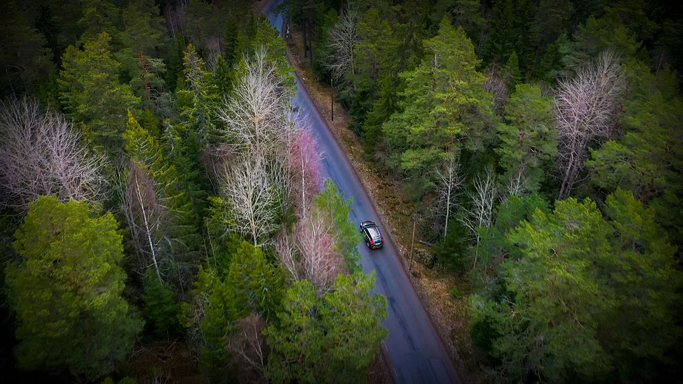 Totalt uppskattas den svenska skogen årligen dammsuga luften på 120 miljoner ton koldioxid.
