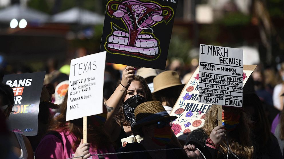 Demonstranter i Kvinnormarschen i Los Angeles på lördagen.