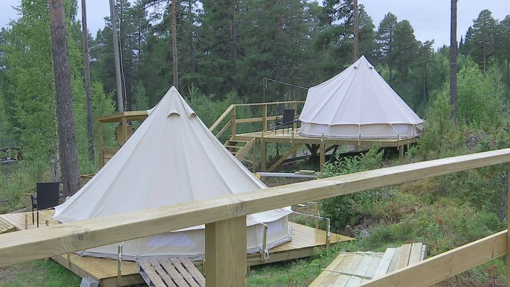 Runda tält på trätrallar i ett skogsområde.
