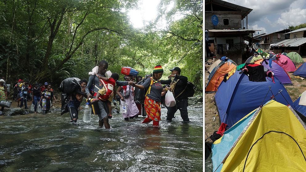 Migranter korsar Darien-djungeln där farorna är många.