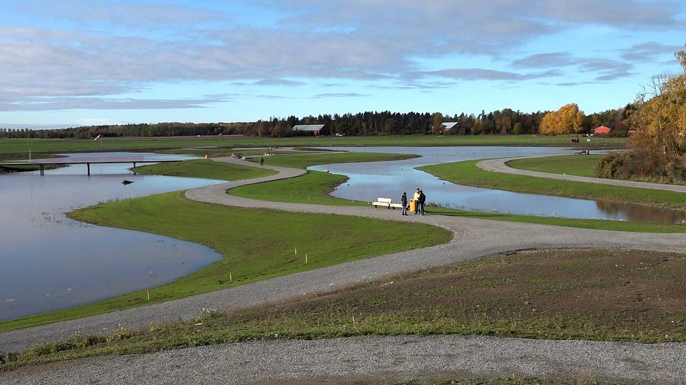 Översikt av våtmarksparken på Johannisberg i Västerås.