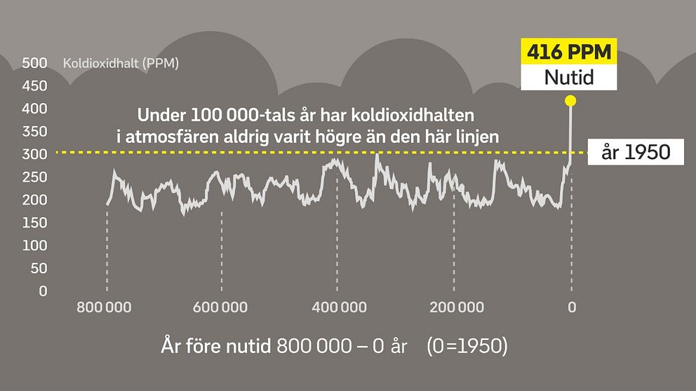 En graf över koldioxidhalten i atmosfären de senaste 800 000 åren.