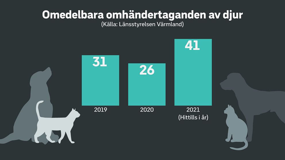 Siffror över antalet omedelbara omhändertaganden de senaste åren.