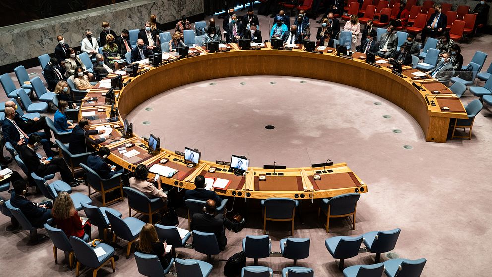 FN:s säkerhetsråd i New York. 5 av rådets 15 medlemsländer är ständiga medlemmar med vetorätt.