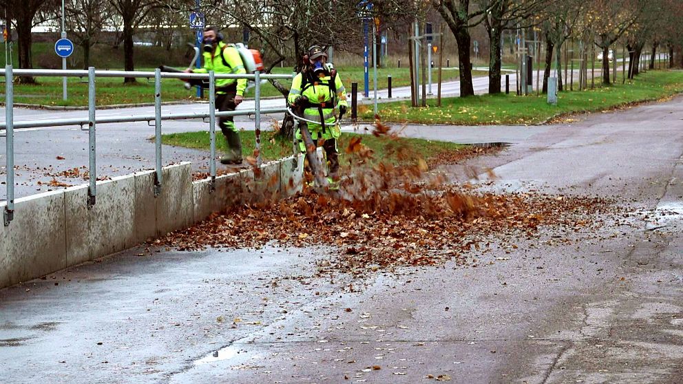 Parkarbetare i Karlstad arbetare med bensindrivna lövblåsare