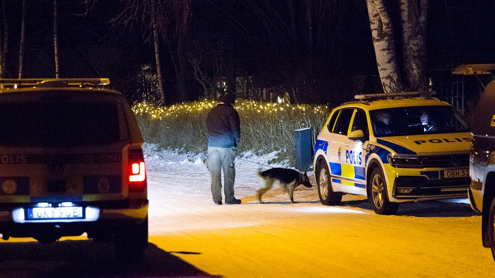 Polisbilar och hundförare.