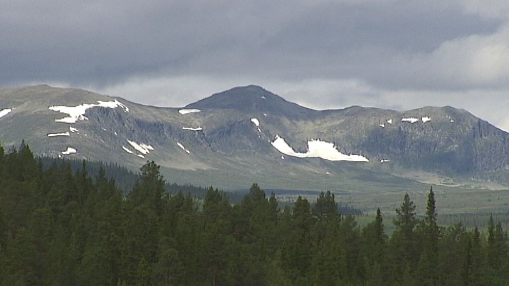 Sommaren anlände sent (först en dryga vecka in i augusti) till delar av fjällkedjan. Här en vy från Ljungdalen i Härjedalen den 13 augusti.