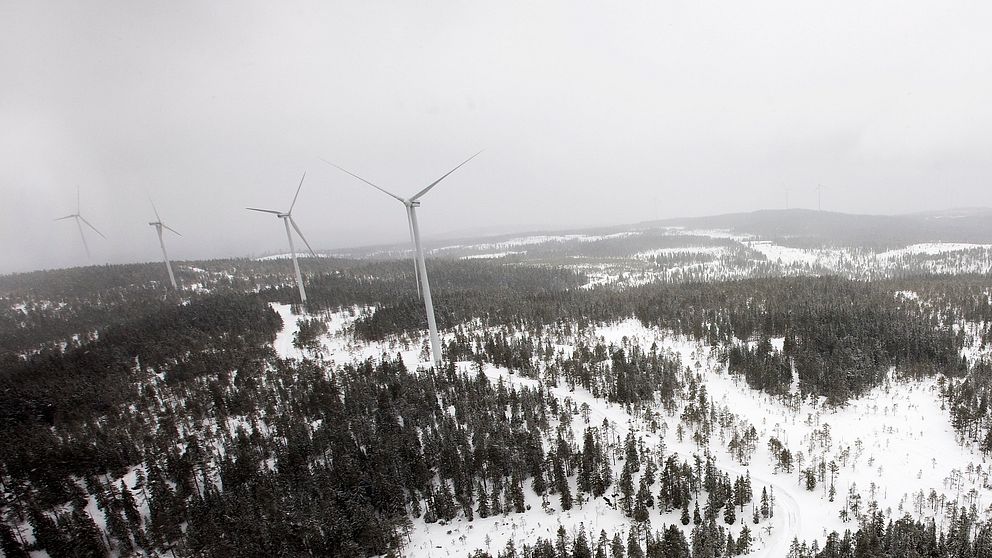 vindkraftverk i skogsmiljö