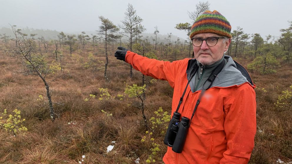 Anders Wirdheim, som är ordförande i Halmstads ornitologiska förening.