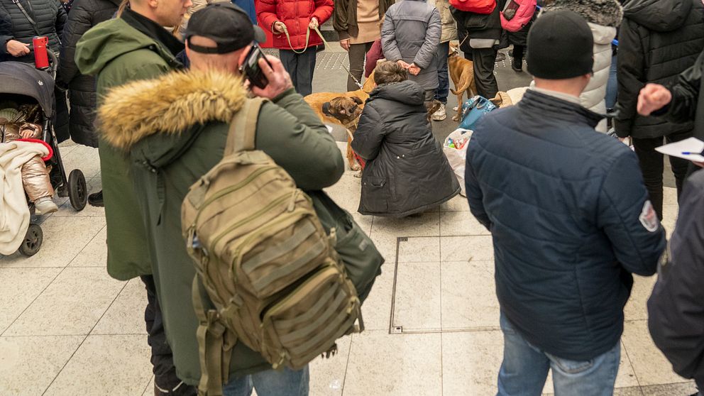 Vid tyska gränsen avvisar danska gränspolisen ukrainska flyktingar utan pass och de som vill använda Danmark som transitland.