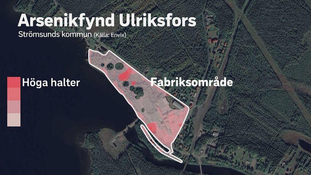Karta över Ulriksfors där ett område är markerat med olika starka rosa färger som indikerar arsenikfynd.