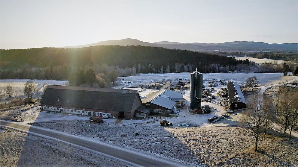 vy över mjölkgården ovanifrån – en stor lada och lägre byggnader, en hög silo, skogsmark längre bort, frost på marken