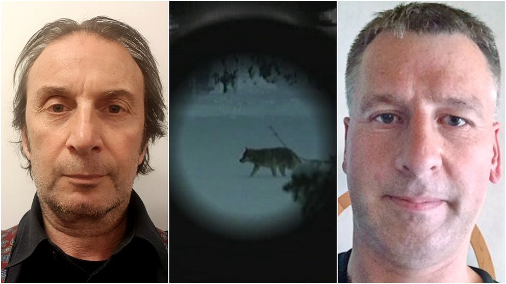 tredelad bild. porträtt på två män som ser rakt in i kameran. Emellan en bild på en varg genom en gevärskikare.