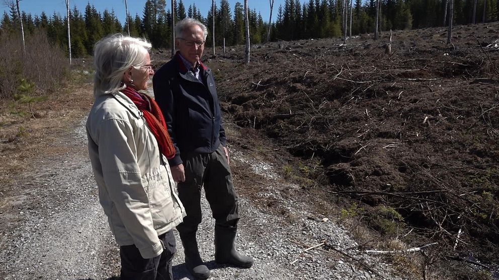 Karin och Rolf Winqvist står vid ett kalhygge i skogen