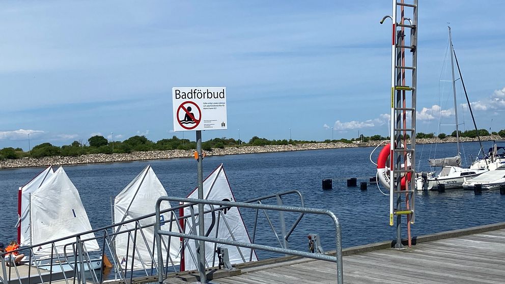 Vid Glasbrukskajen i Limhamn vill många bada trots att det råder badförbud.