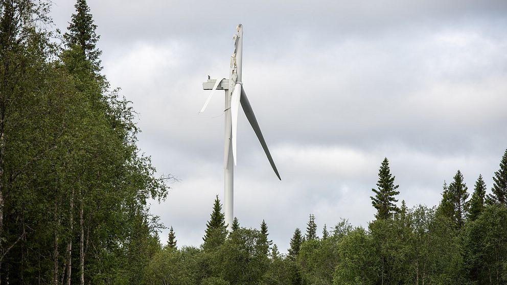 Ett vindkraftverk med bruten vinge tornar över en barr- och lövskog.