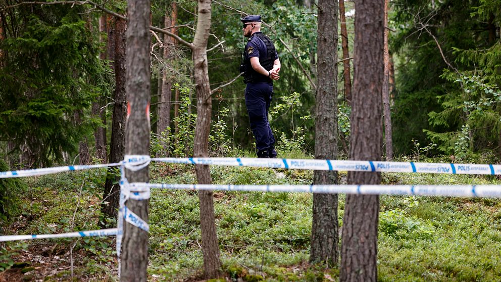 Polis