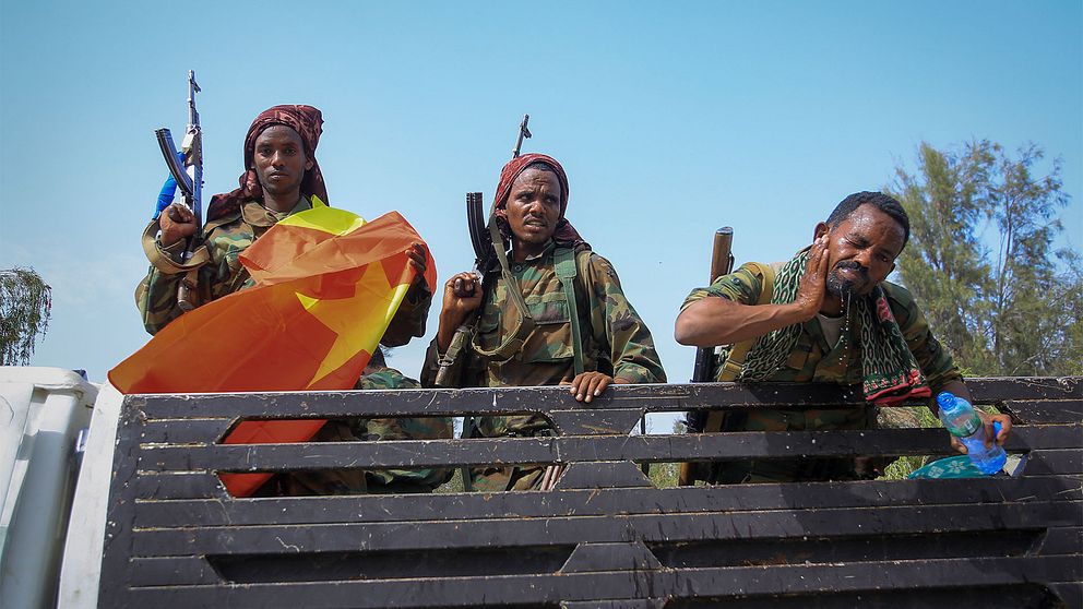 Tigrinska soldater med vapen på ett lastbilsflak.