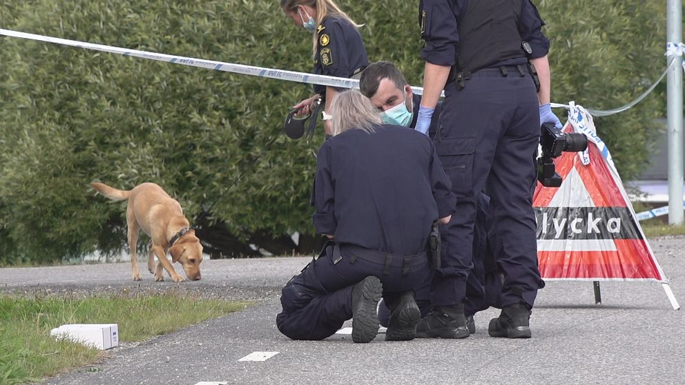 Polisen genomsöker brottsplatsen och området runt i kring med hund.