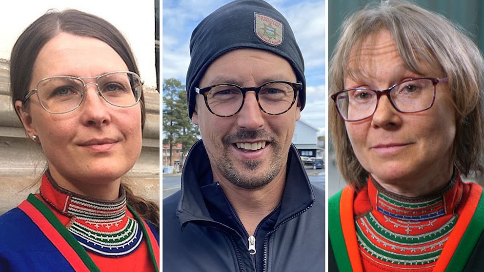 Åsa Larsson-Blind (Sámelistu), Daniel Johansson (V) och Marita Stinnerbom (C) är några av de 43 samiska kommun- och regionpolitiker som fick en ordinarie plats efter valet.