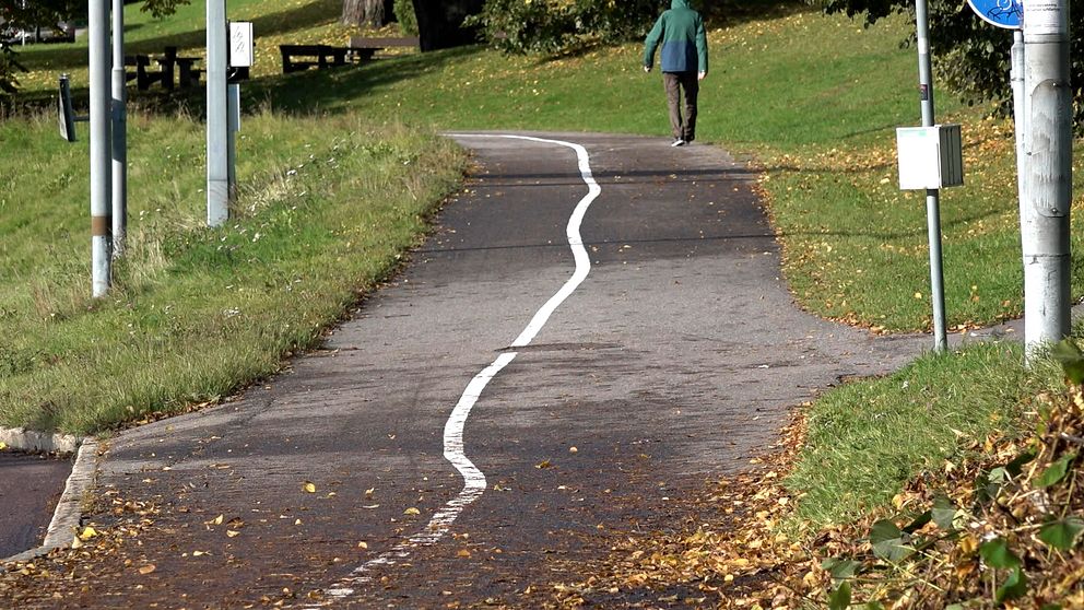 En bild på en gång- och cykelväg där det vita strecket som ska skilja dem åt kringlar sig snett fram.