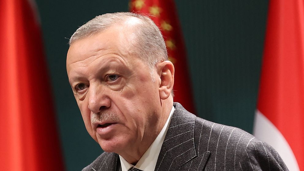 Turkiets president Erdogan håller ett tal framför en turkisk flagga.