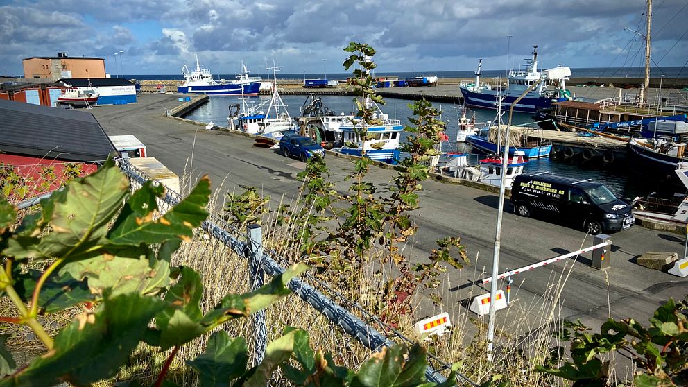 Hamnen i Simrishamn är mindre än både Ystad och Rönne hamnar, men kan mycket väl komma till användning om gasledningarna ska repareras.